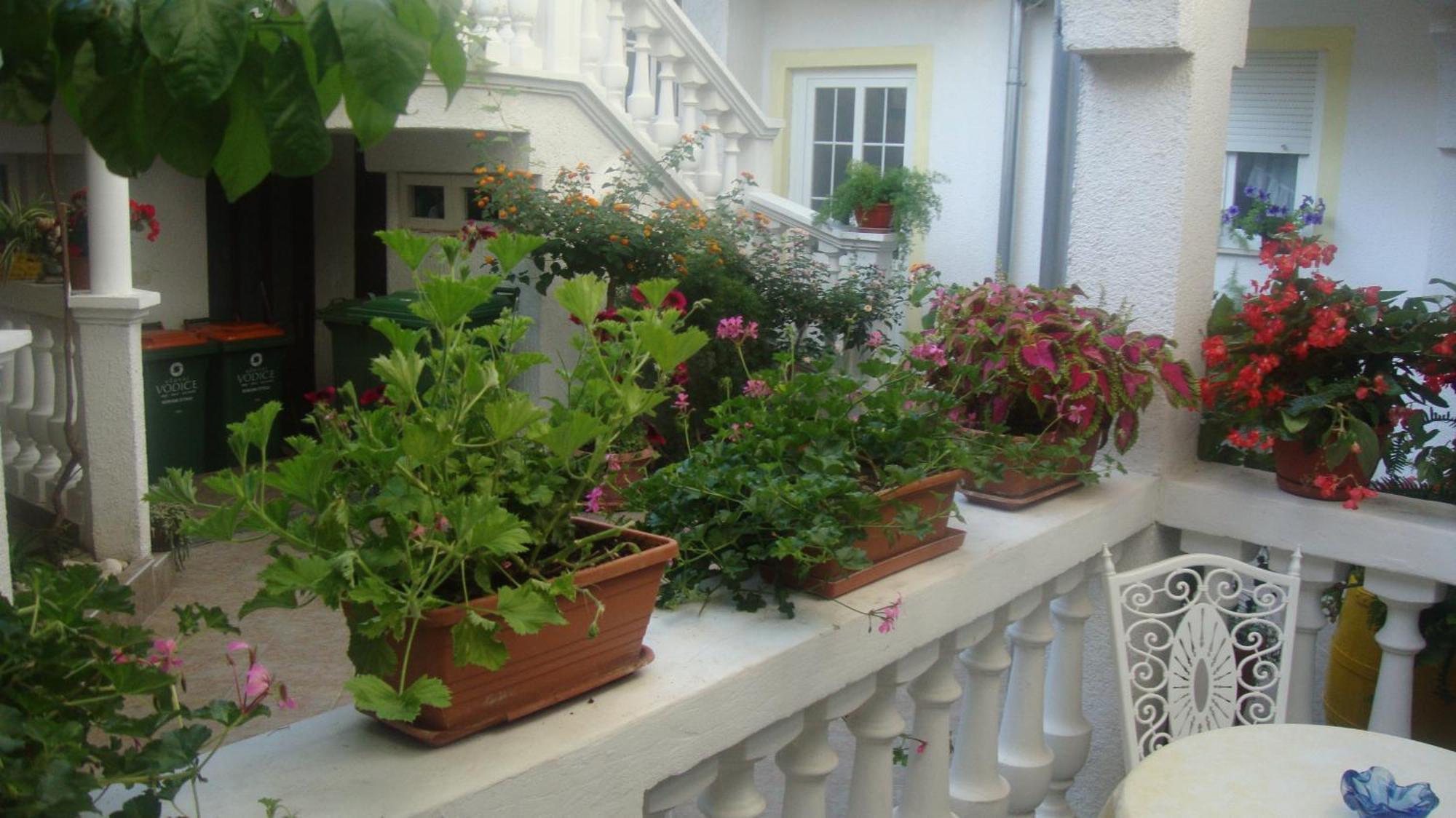 Apartments Vodice Marica Zimmer foto